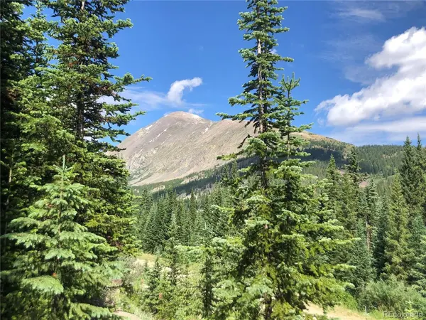 299 CR 805, Breckenridge, CO 80424