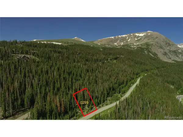 299 CR 805, Breckenridge, CO 80424