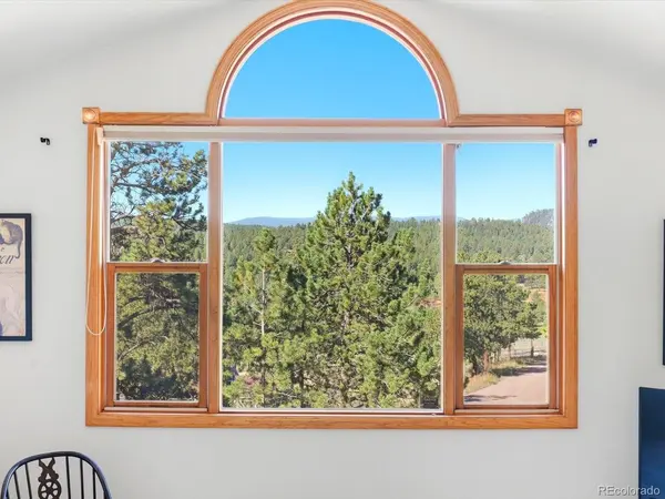 74 Badger, Bailey, CO 80421