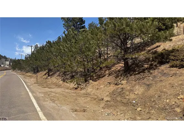 23 Eureka, Central City, CO 80427