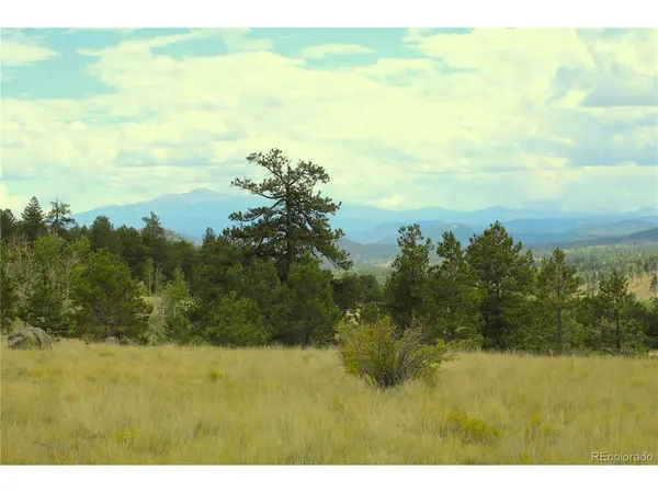 Hwy 24, Hartsel, CO 80827
