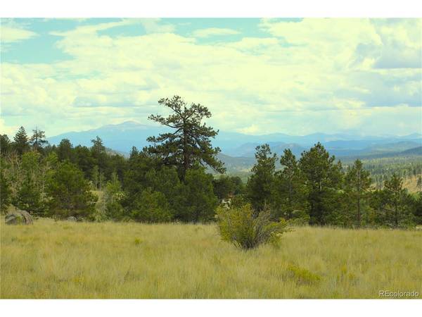 Hwy 24, Hartsel, CO 80827