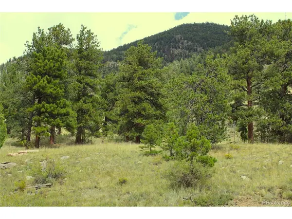 Hwy 24, Hartsel, CO 80827