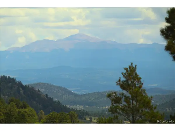 Hwy 24, Hartsel, CO 80827