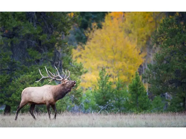 200 Virginia, Leadville, CO 80461