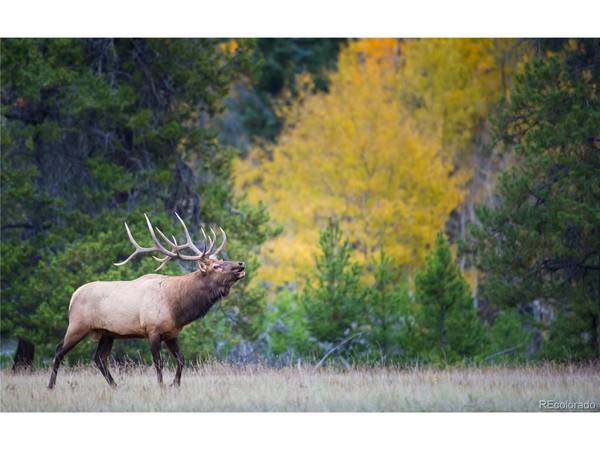 200 Virginia, Leadville, CO 80461