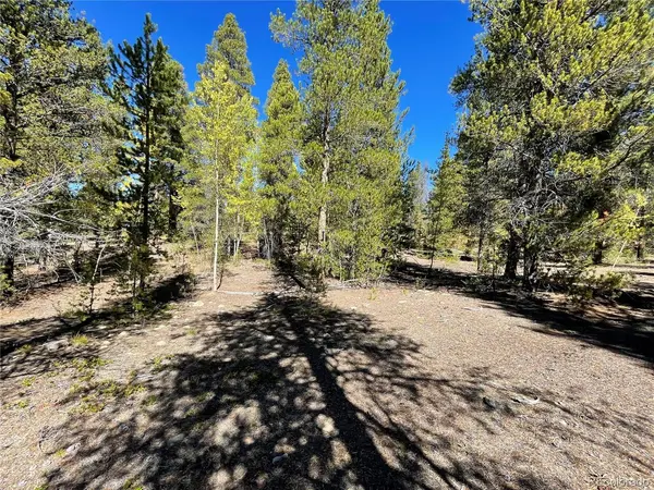 200 Virginia, Leadville, CO 80461