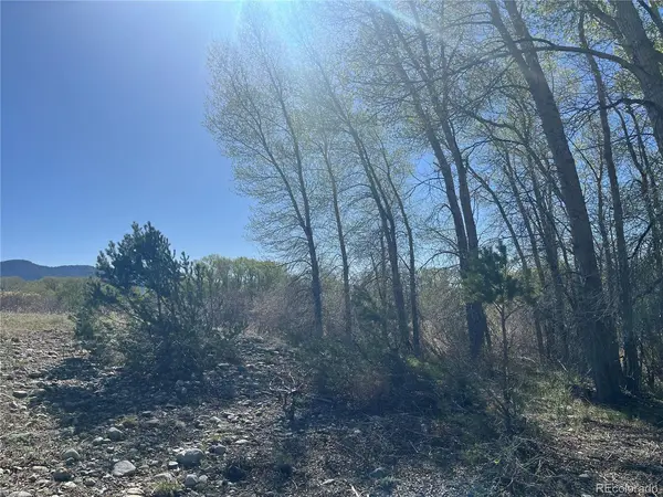 CR 361A, Buena Vista, CO 81211