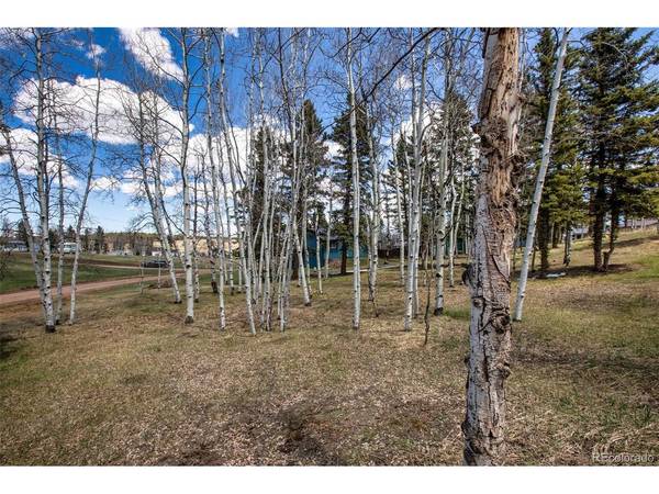 571 Will Scarlet, Divide, CO 80814