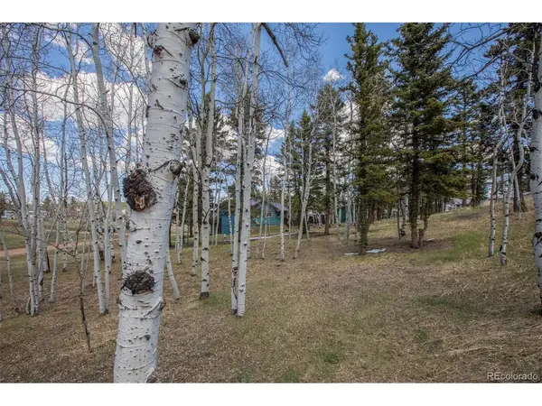 571 Will Scarlet, Divide, CO 80814