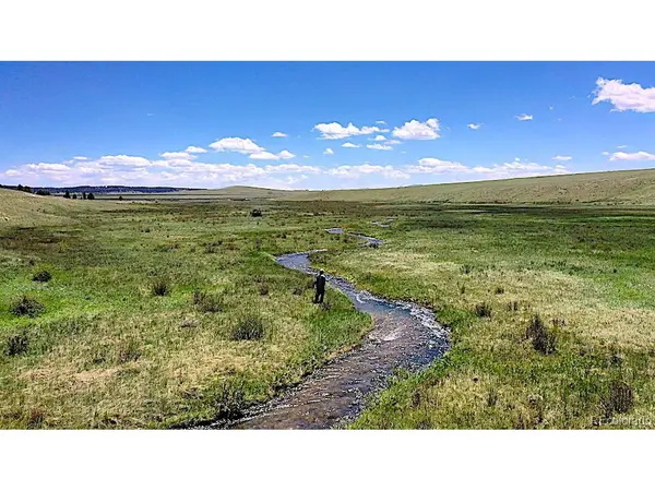 19425 Highway 285, Fairplay, CO 80440