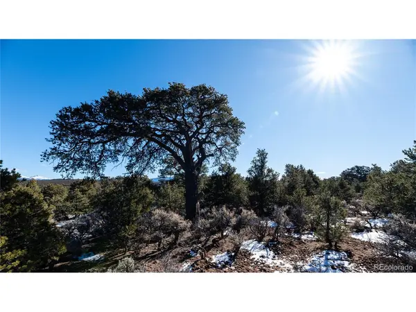90 Elk Park, San Luis, CO 81152