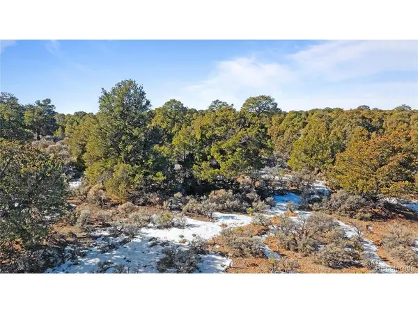 90 Elk Park, San Luis, CO 81152