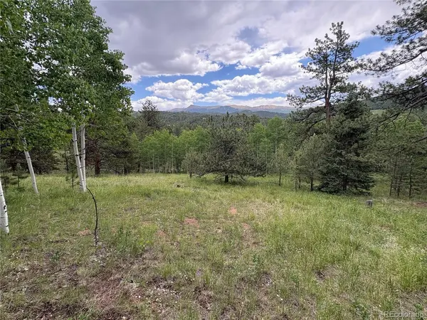 532 May Queen, Cripple Creek, CO 80813