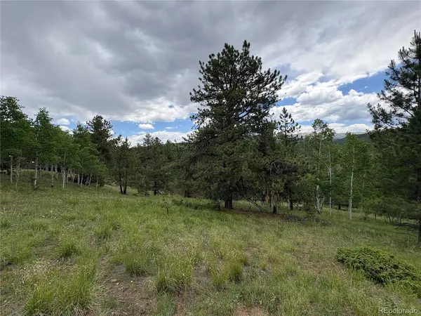 532 May Queen, Cripple Creek, CO 80813