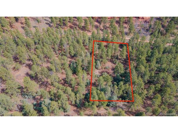 8257 Bannock, Larkspur, CO 80118