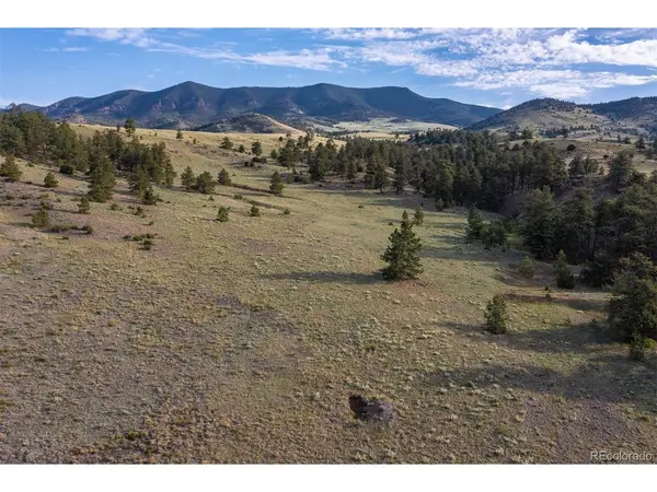 0 Big Buck Road, Guffey, CO 80820