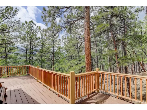 307 Virginia, Bailey, CO 80421