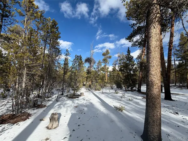 379 Peak View, Leadville, CO 80461