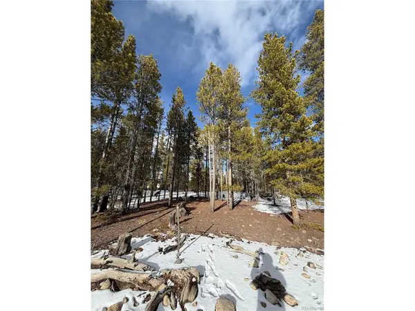 379 Peak View, Leadville, CO 80461