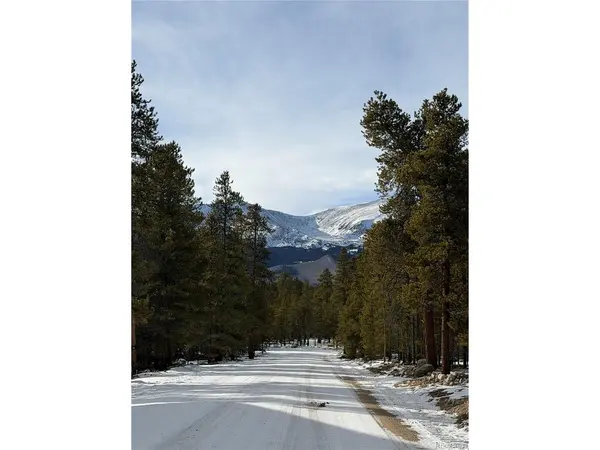 379 Peak View, Leadville, CO 80461