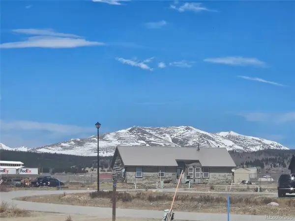 1313 Meadow, Fairplay, CO 80440