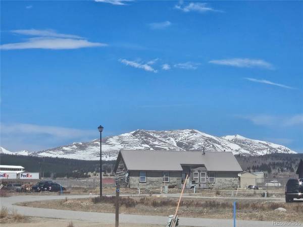 1313 Meadow, Fairplay, CO 80440