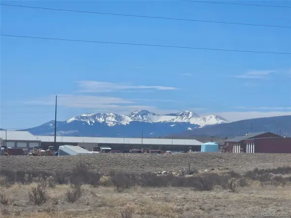 1313 Meadow, Fairplay, CO 80440
