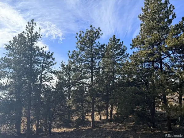 729 Bridle, Hartsel, CO 80449