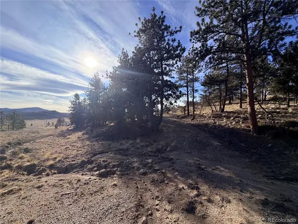 729 Bridle, Hartsel, CO 80449