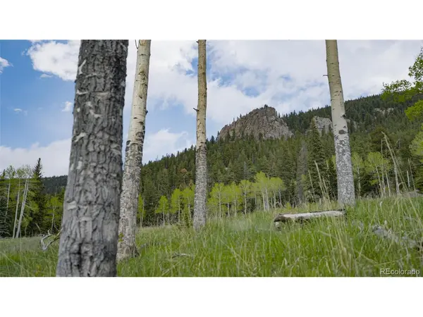 Address not disclosed, Evergreen, CO 80439