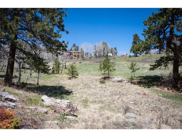 TBD Pine Valley, Evergreen, CO 80439