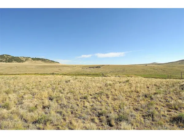 1245 Badger Creek, Hartsel, CO 80449