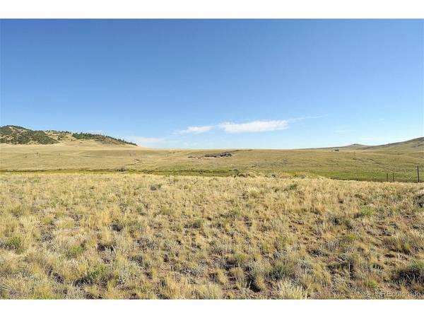 1245 Badger Creek, Hartsel, CO 80449
