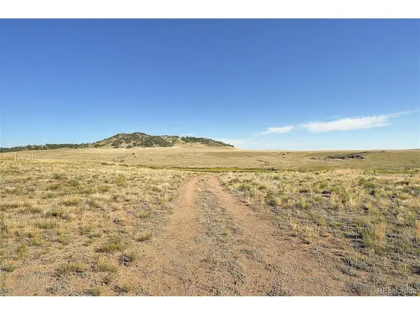 1245 Badger Creek, Hartsel, CO 80449