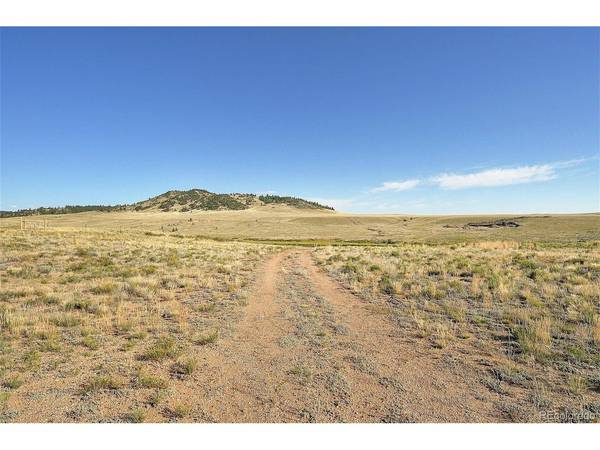 1245 Badger Creek, Hartsel, CO 80449