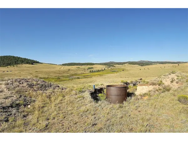 1245 Badger Creek, Hartsel, CO 80449