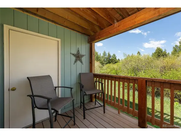 300 Sterling #3, Fraser, CO 80442