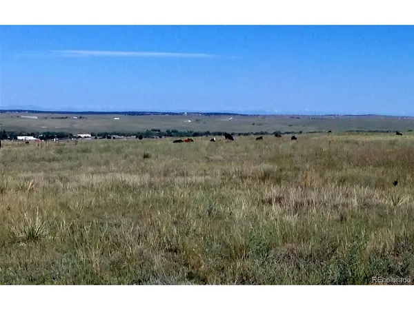 12115 St Hwy 86, Kiowa, CO 80117