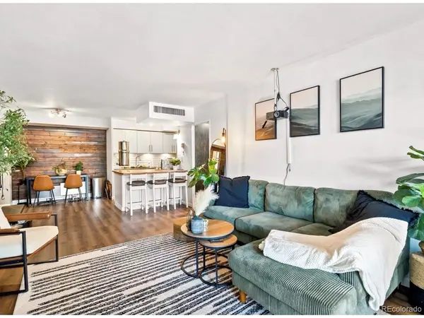 790 N Washington #206, Denver, CO 80203