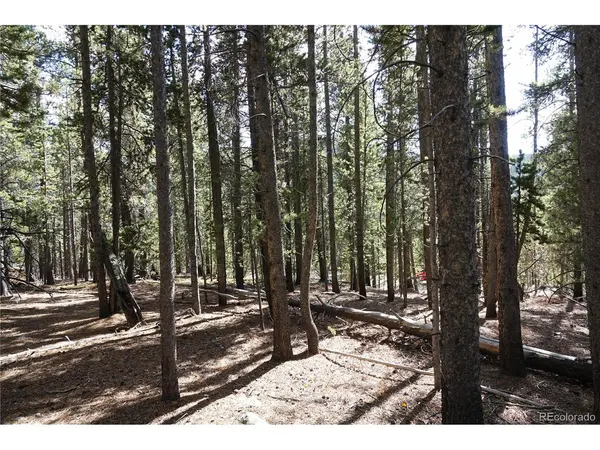 Address not disclosed, Idaho Springs, CO 80452
