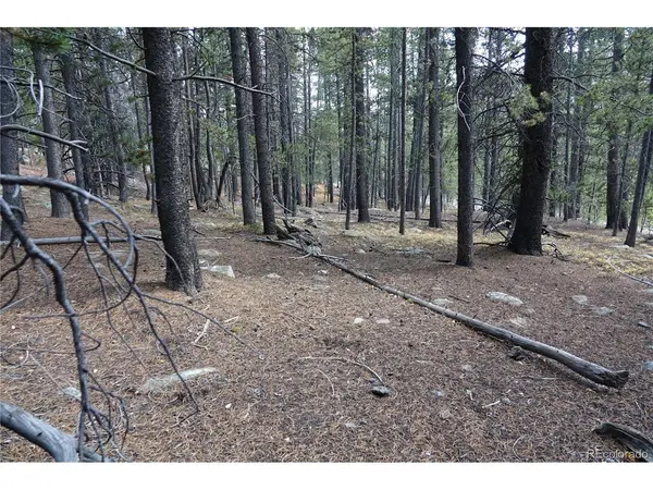 Address not disclosed, Idaho Springs, CO 80452