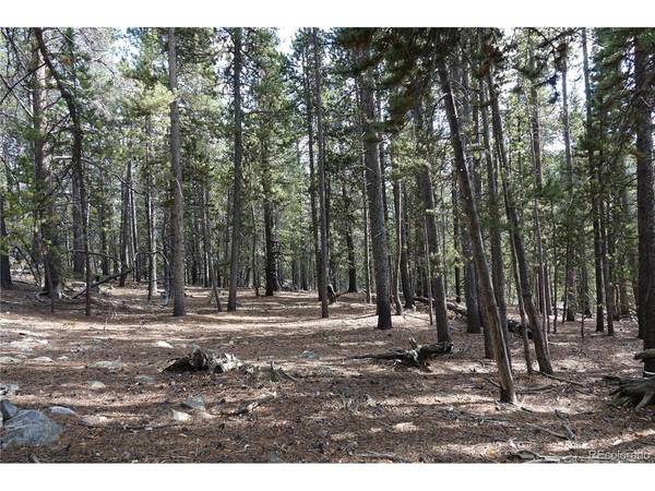 0 Loch Lomond Rd & Vista Rd, Idaho Springs, CO 80452