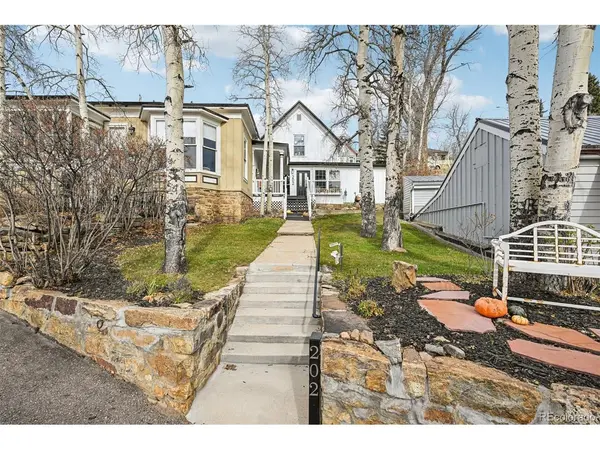 202 E 1st High, Central City, CO 80427