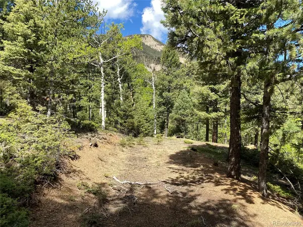 210 Waterfall, Manitou Springs, CO 80829