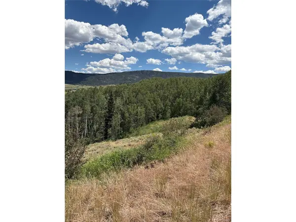1874 GCR 162, Kremmling, CO 80459