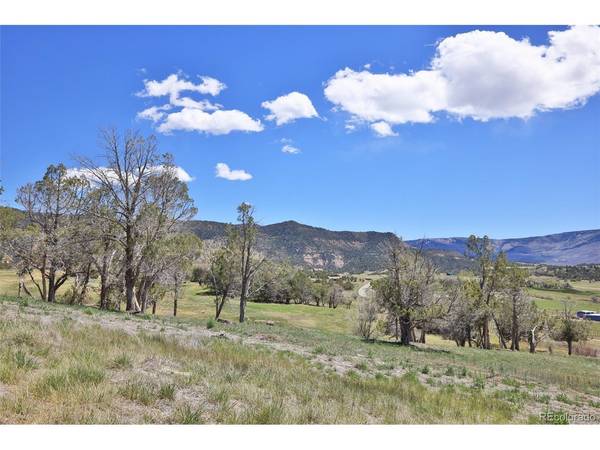 58798 Delores, Collbran, CO 81624