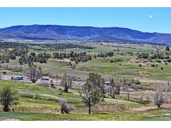 58798 Delores, Collbran, CO 81624