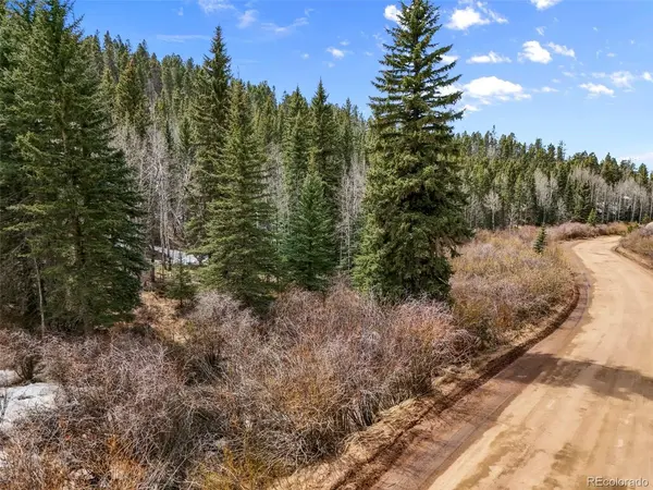464 E Bison Creek, Florissant, CO 80816
