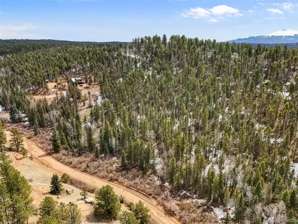 464 E Bison Creek, Florissant, CO 80816